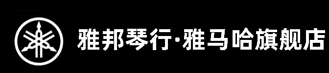 濟(jì)寧市雅邦樂(lè)器有限公司